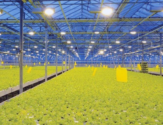 Установка и обслуживание ламп ДНаТ и МГЛ