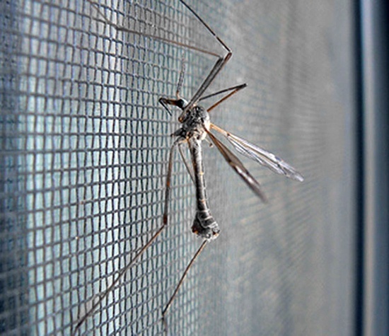 Москитные сетки: разновидности и типы