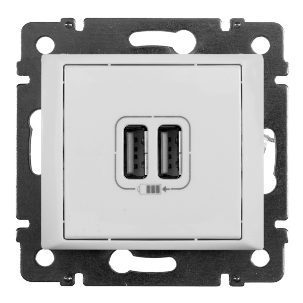 Розетка 2-ая USB зарядка 2400mA тип А-A Legrand Valena белая