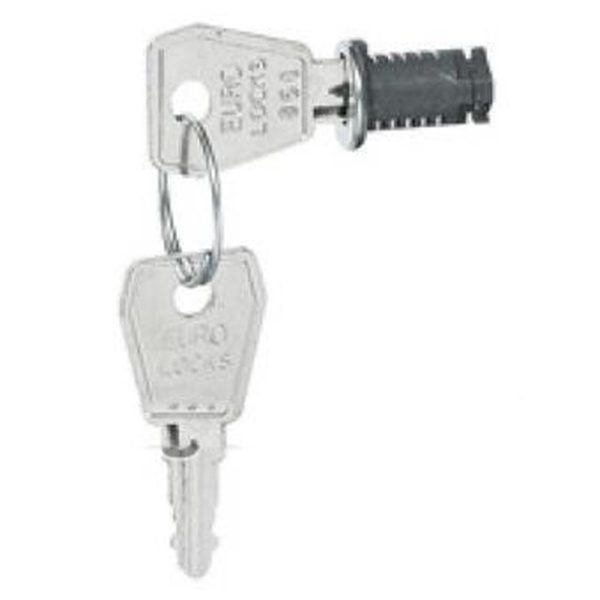Замок с ключом Legrand для шкафов Plexo и Practibox