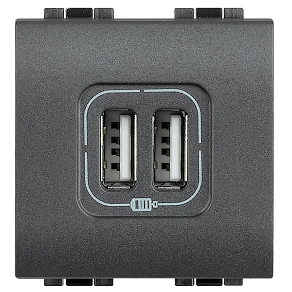 Зарядка 2хUSB для мобильных устройств 2,4A размер 2 модуля LivingLight Антрацит