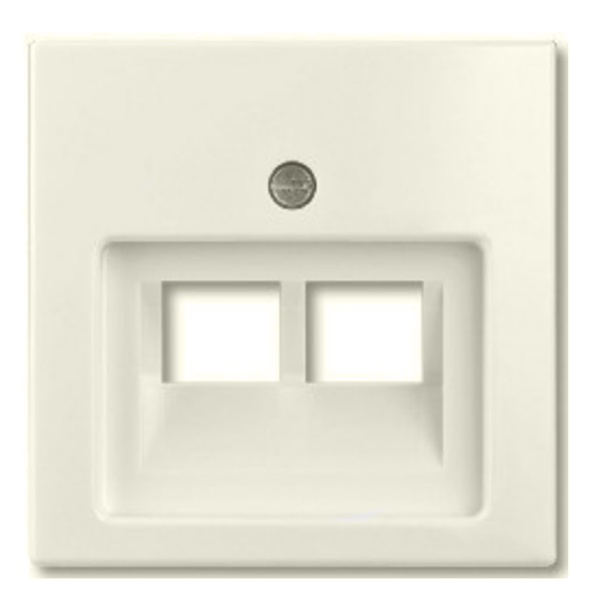 Накладка для двойных розеток 2хRJ11, 2хRJ45 ABB Basic 55 слоновая кость (1803-02-92) (бежевый)