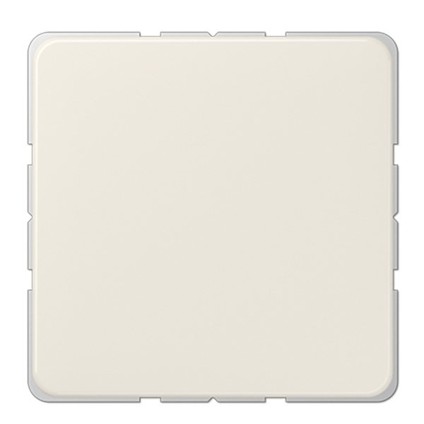 Заглушка Jung CD Слоновая кость (бежевый)