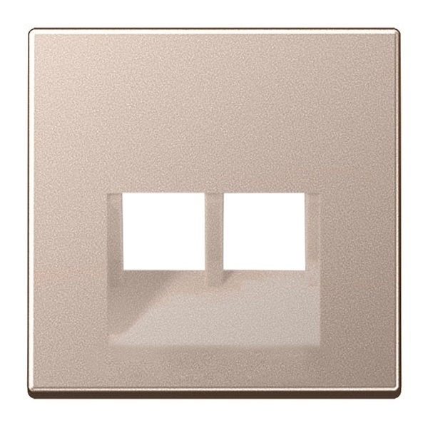 Накладка 2-ая Jung A компьютерной/телефонной RJ45/RJ11 розетки наклонная Шампань