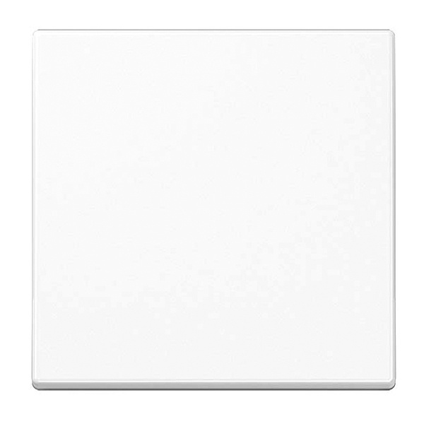 Клавиша 1-ая Jung A для одноклавишного выключателя Белый