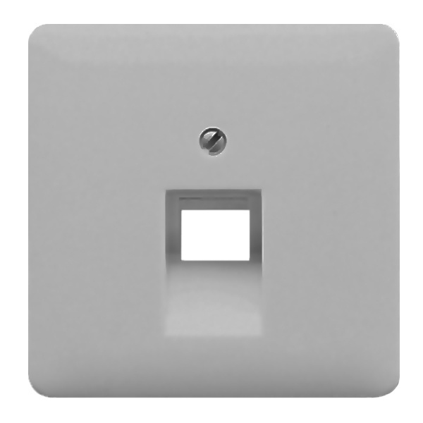 Накладка 1-ая Jung CD компьютерной/телефонной RJ45/RJ11 розетки наклонная Серый