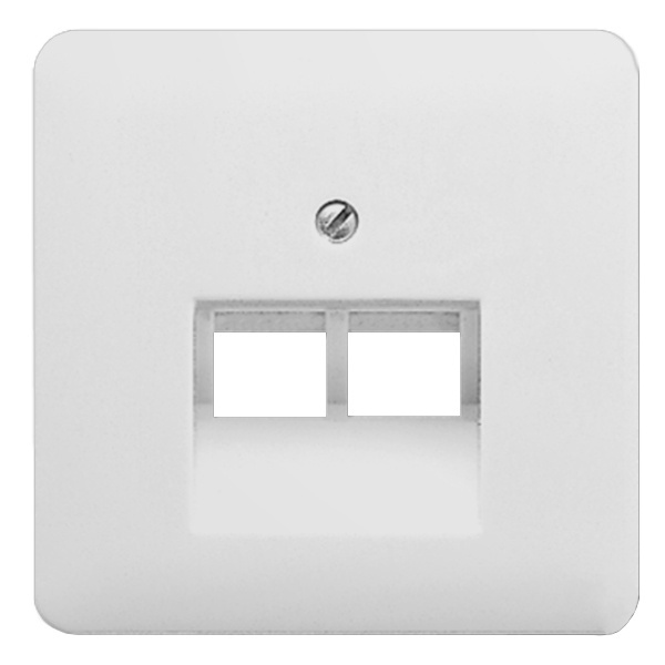 Накладка 2-ая Jung CD компьютерной/телефонной RJ45/RJ11 розетки наклонная Светло-серый