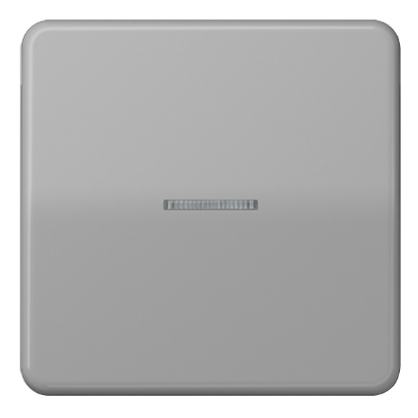 Клавиша 1-ая Jung CD для одноклавишного выключателя/кнопки с подсветкой Серый