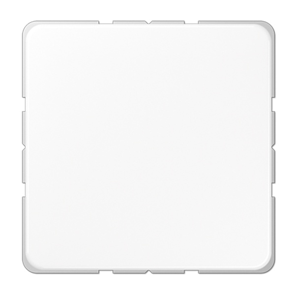 Заглушка Jung CD Белый