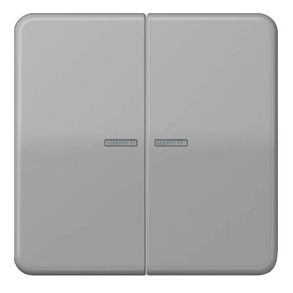 Клавиша 2-ая Jung CD для двухклавишного выключателя/кнопки с подсветкой Серый