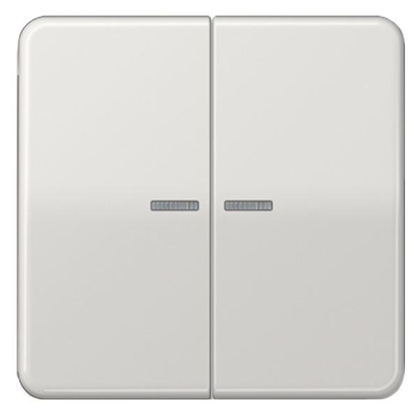 Клавиша 2-ая Jung CD для двухклавишного выключателя/кнопки с подсветкой Светло-серый