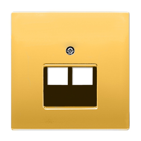 Накладка 2-ая Jung LS компьютерной/телефонной RJ45/RJ11 розетки наклонная Золото