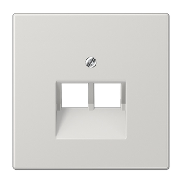 Накладка 2-ая Jung LS компьютерной/телефонной RJ45/RJ11 розетки наклонная Светло-серый