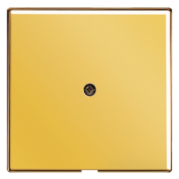 Вывод кабеля Jung LS Золото