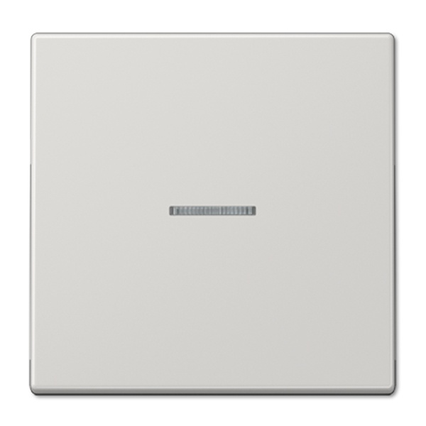 Клавиша 1-ая Jung LS с подсветкой для одноклавишного выключателя или кнопки Светло-серый