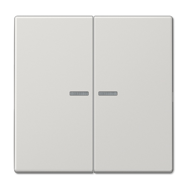 Клавиша 2-ая Jung LS с посветкой для двухклавишного выключателя или кнопки Светло-серый