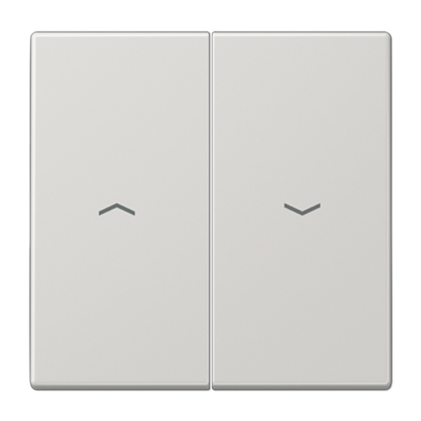 Клавиша 2-ая Jung LS для жалюзийного выключателя/кнопок Светло-серый