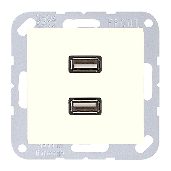 Розетка USB-удлинитель Jung A 2 местная+AS Слоновая кость механизм+накладка (бежевый)