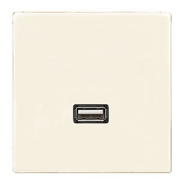 Розетка USB-удлинитель Jung LS 1 местная Слоновая кость механизм+накладка (бежевый)