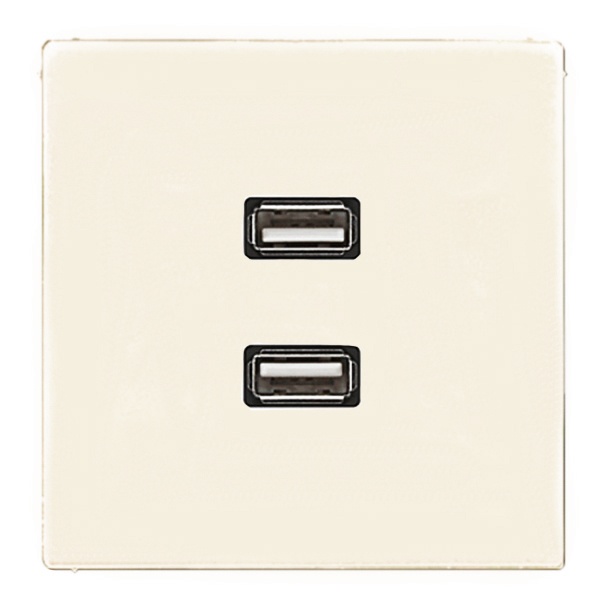 Розетка USB-удлинитель Jung LS 2 местная Слоновая кость механизм+накладка (бежевый)