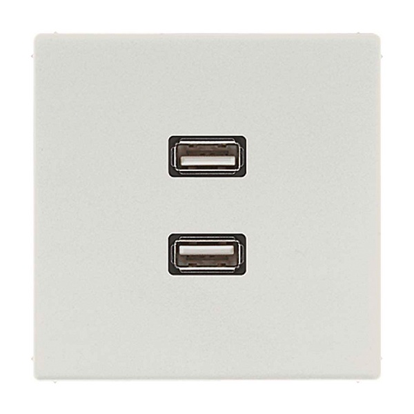 Розетка USB-удлинитель Jung LS 2 местная Светло-серый механизм+накладка