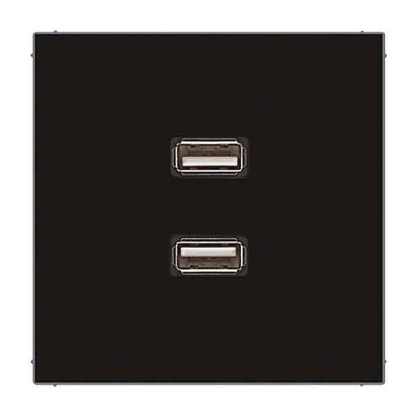 Розетка USB-удлинитель Jung LS 2 местная Черный механизм+накладка