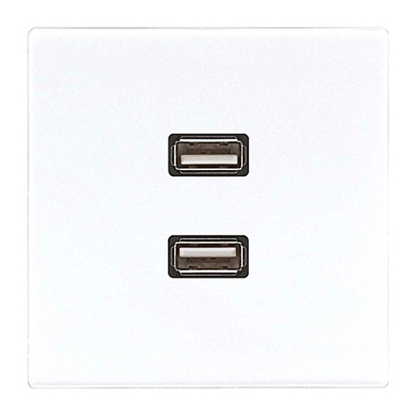 Розетка USB-удлинитель Jung LS 2 местная Белый механизм+накладка