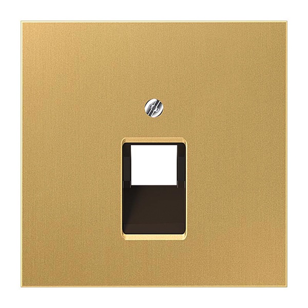 Накладка 1-ая Jung LS компьютерной/телефонной RJ45/RJ11 розетки наклонная Латунь Cassic