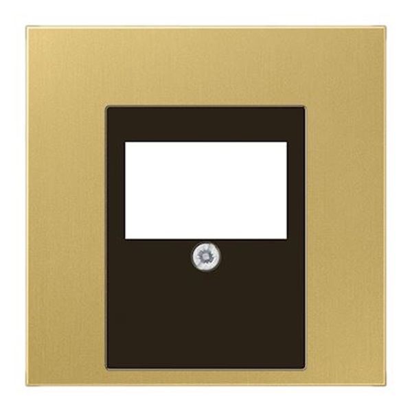 Накладка для USB зарядки Jung LS и акустических розеток Латунь Classic