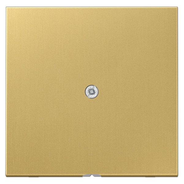 Вывод кабеля Jung LS Латунь Classic