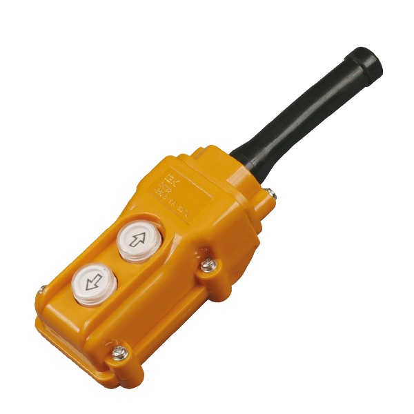 Пульт управления ИЭК ПКТ-61 на 2 кнопки IP54