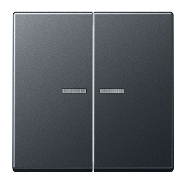 Клавиша 2-ая Jung A для двухклавишного выключателя с подсветкой Антрацит матовый