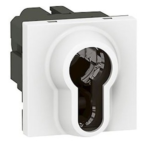 Выключатель с ключом Legrand Mosaic 2-позиционный цилиндр евростандарта 6A 2 модуля белый