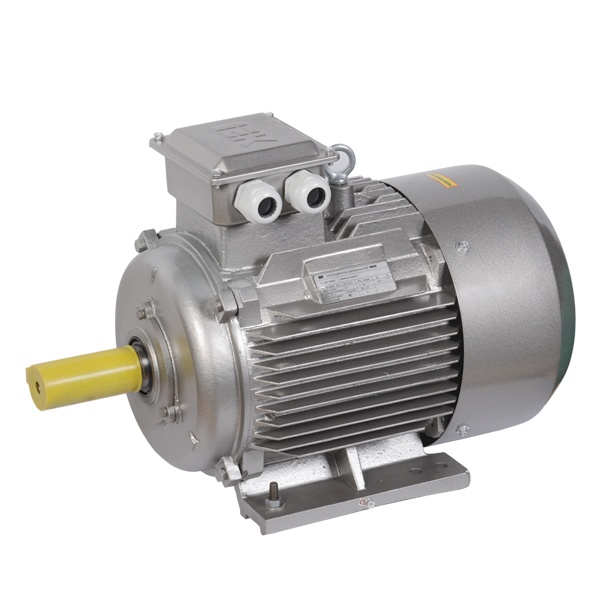 Электродвигатель асинхронный 3ф ИЭК (ONI) DRIVE АИР 160S6 660В 11кВт 1000об/мин (лапы) 1081