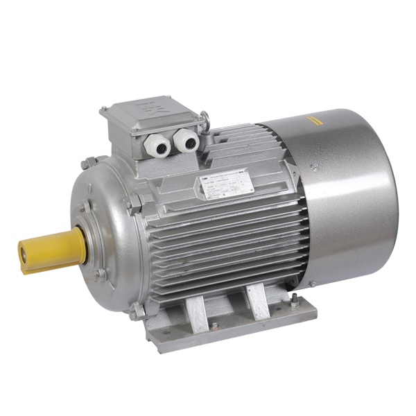 Электродвигатель асинхронный 3ф ИЭК (ONI) DRIVE АИР 180M6 660В 18,5кВт 1000об/мин (лапы) 1081