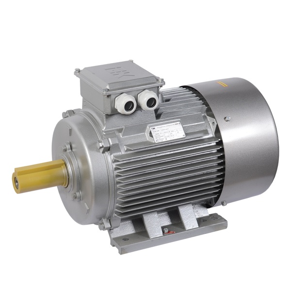 Электродвигатель асинхронный 3ф ИЭК (ONI) DRIVE АИР 200M6 660В 22кВт 1000об/мин (лапы) 1081