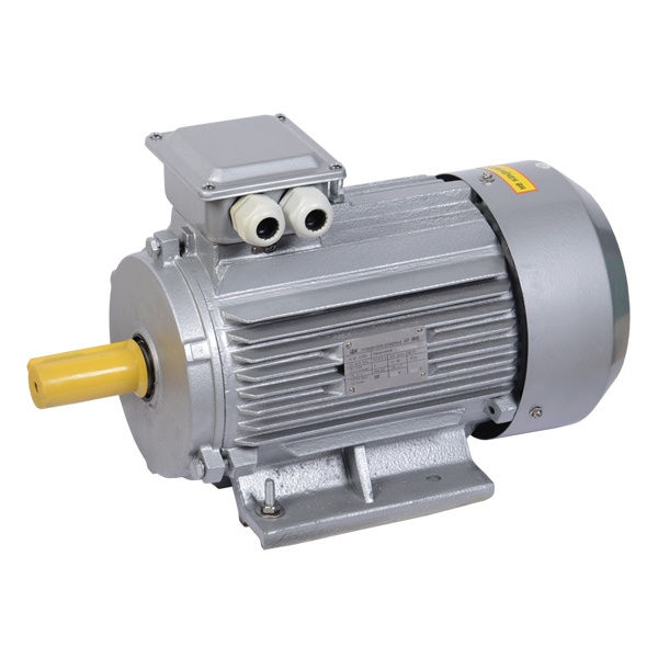 Электродвигатель асинхронный 3ф ONI (ИЭК) DRIVE АИР 112M4 380В 5,5кВт 1500об/мин (лапы) 1081