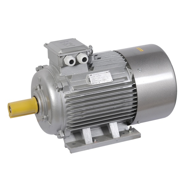 Электродвигатель асинхронный 3ф ONI (ИЭК) DRIVE АИР 180S4 660В 22кВт 1500об/мин (лапы) 1081