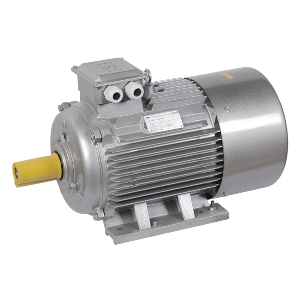 Электродвигатель асинхронный 3ф ИЭК (ONI) DRIVE АИР 180M2 660В 30кВт 3000об/мин (лапы) 1081