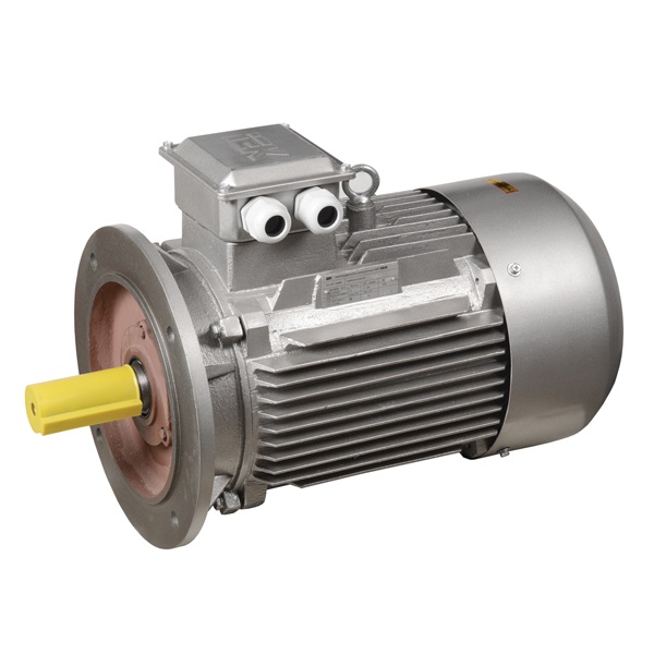 Электродвигатель асинхронный 3ф ИЭК (ONI) DRIVE АИР 112M4 380В 5,5кВт 1500об/мин (фланец) 3081