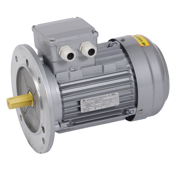 Электродвигатель асинхронный 3ф ИЭК (ONI) DRIVE АИР 71A2 380В 0,75кВт 3000об/мин (фланец) 3081