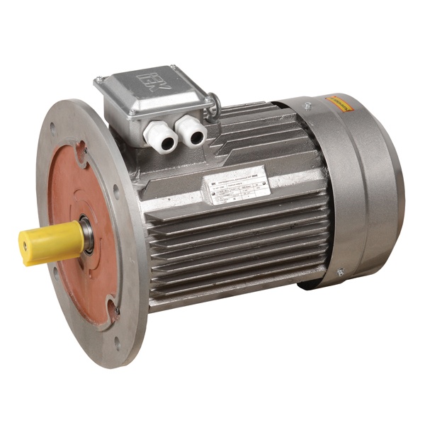 Электродвигатель асинхронный 3ф ИЭК (ONI) DRIVE АИР 132M2 380В 11кВт 3000об/мин (фланец) 3081