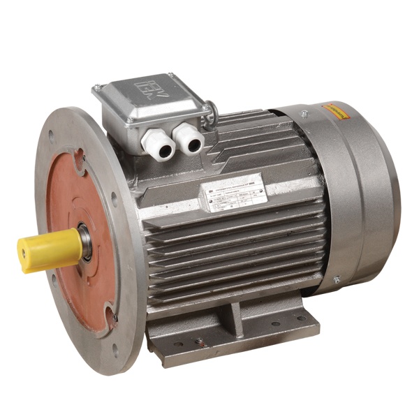 Электродвигатель асинхронный 3ф ИЭК (ONI) DRIVE АИР 132S6 380В 5,5кВт 1000об/мин (лапы + фланец) 208