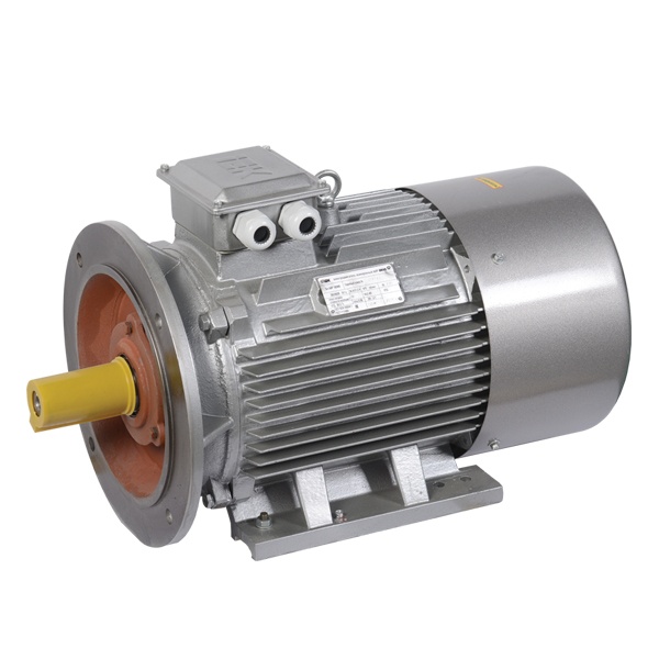 Электродвигатель асинхронный 3ф ИЭК (ONI) DRIVE АИР 180M6 660В 18,5кВт 1000об/мин (лапы + фланец) 20