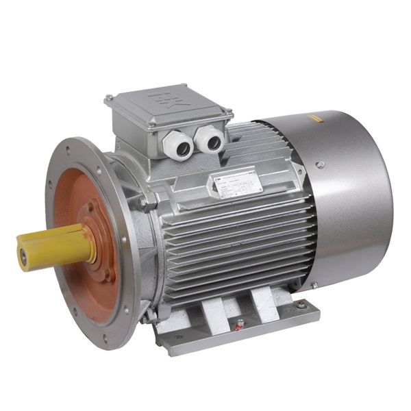 Электродвигатель асинхронный 3ф ИЭК (ONI) DRIVE АИР 200M6 660В 22кВт 1000об/мин (лапы + фланец) 208