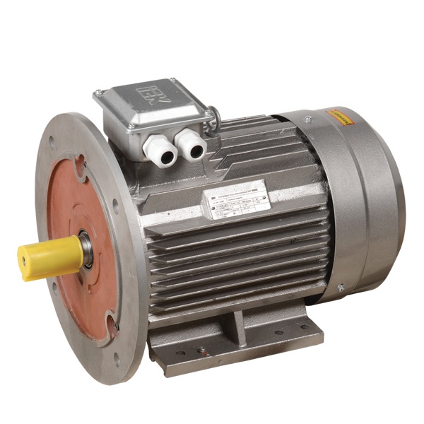 Электродвигатель асинхронный 3ф ИЭК (ONI) DRIVE АИР 132M4 380В 11кВт 1500об/мин (лапы + фланец) 208