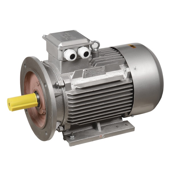 Электродвигатель асинхронный 3ф ИЭК (ONI) DRIVE АИР 112M2 380В 7,5кВт 3000об/мин (лапы + фланец) 208