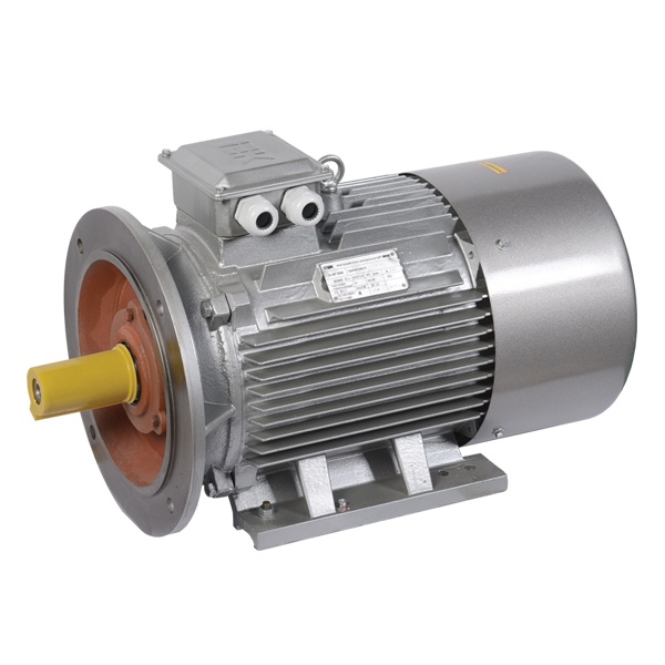 Электродвигатель асинхронный 3ф ИЭК (ONI) DRIVE АИР 180M2 660В 30кВт 3000об/мин (лапы + фланец) 208
