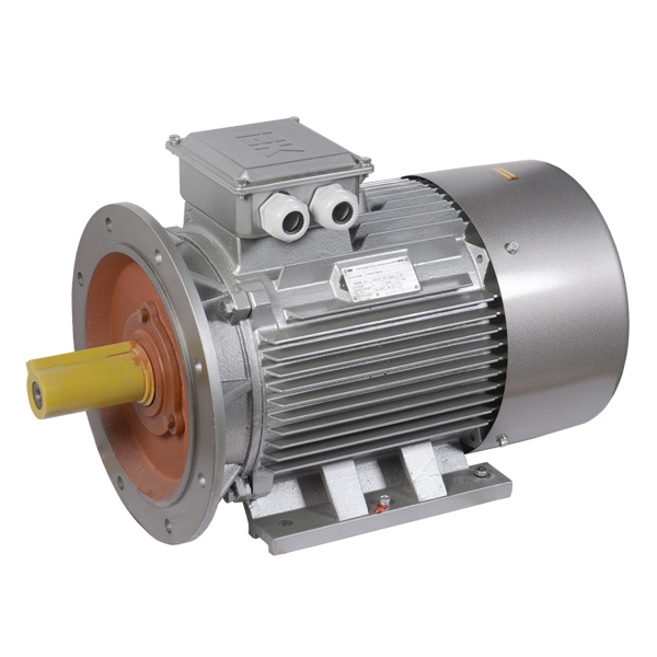 Электродвигатель асинхронный 3ф ИЭК (ONI) DRIVE АИР 200M2 660В 37кВт 3000об/мин (лапы + фланец) 208