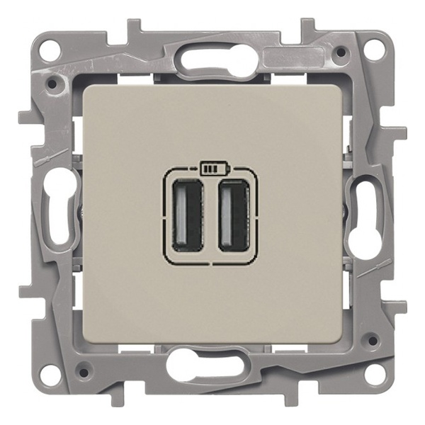 Зарядное устройство с двумя USB-разъемами тип А-A Legrand Etika 240В/5В 2400мА слоновая кость (бежевый)